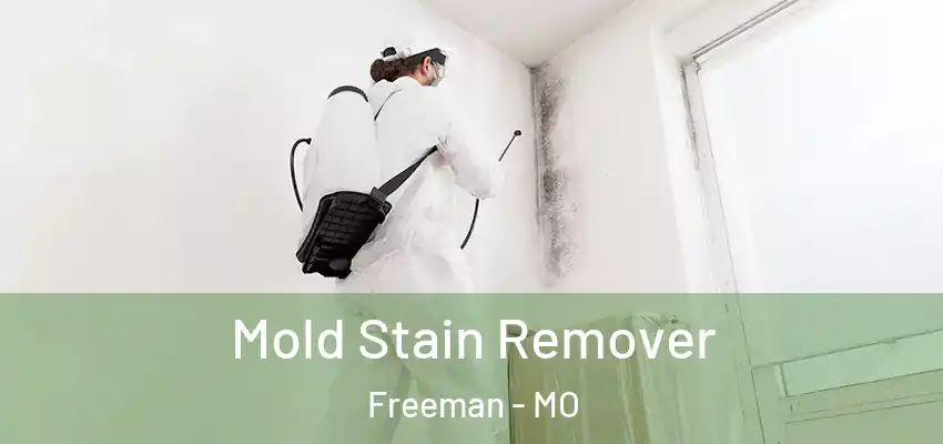  Mold Stain Remover Freeman - MO