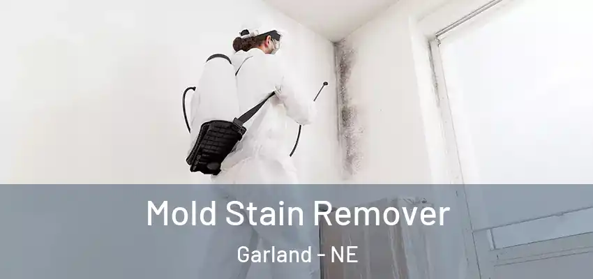  Mold Stain Remover Garland - NE