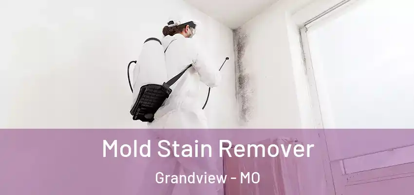  Mold Stain Remover Grandview - MO
