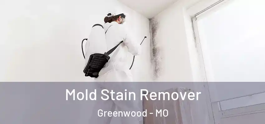  Mold Stain Remover Greenwood - MO