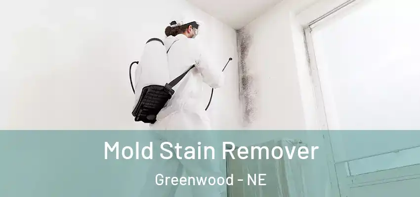  Mold Stain Remover Greenwood - NE