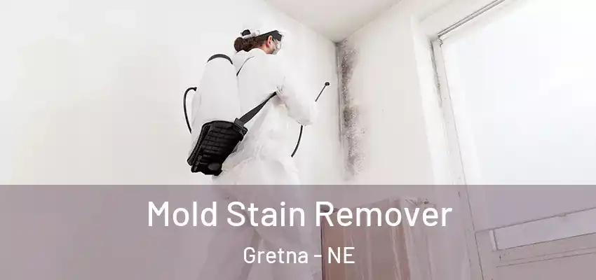  Mold Stain Remover Gretna - NE