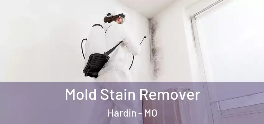  Mold Stain Remover Hardin - MO