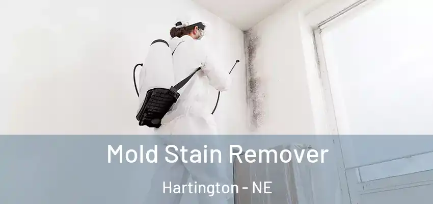  Mold Stain Remover Hartington - NE