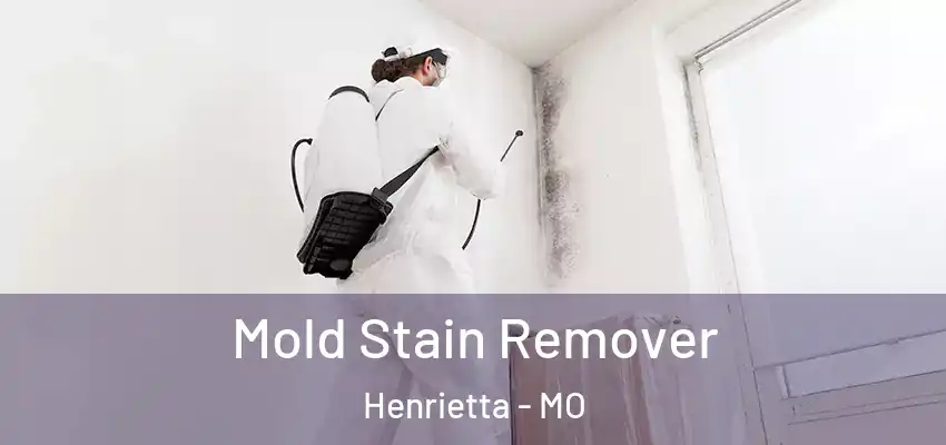  Mold Stain Remover Henrietta - MO