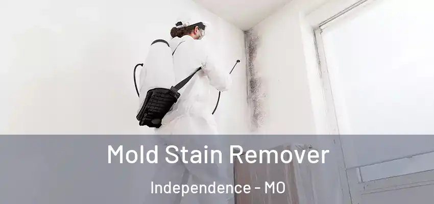 Mold Stain Remover Independence - MO