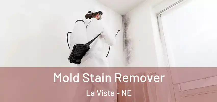  Mold Stain Remover La Vista - NE