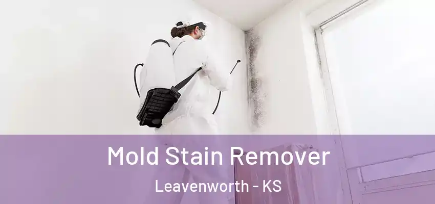  Mold Stain Remover Leavenworth - KS