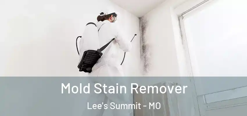  Mold Stain Remover Lee's Summit - MO