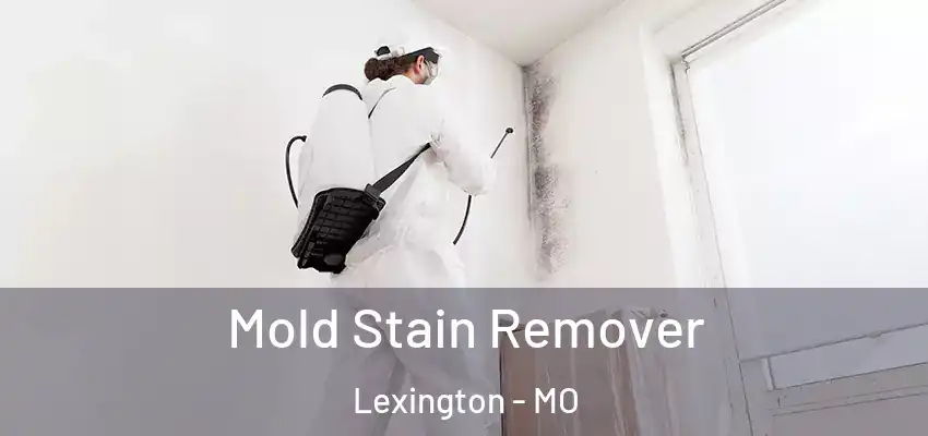 Mold Stain Remover Lexington - MO