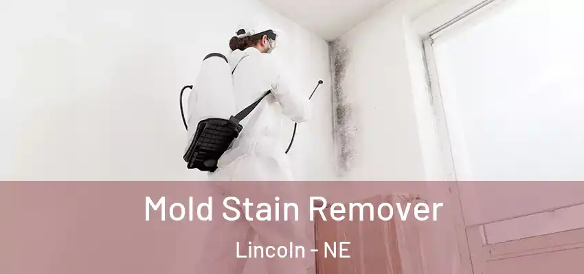  Mold Stain Remover Lincoln - NE