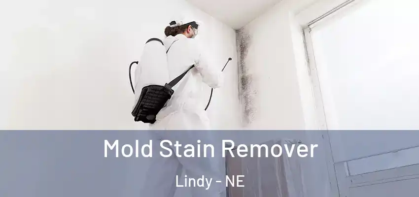 Mold Stain Remover Lindy - NE