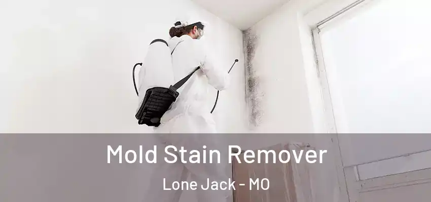  Mold Stain Remover Lone Jack - MO