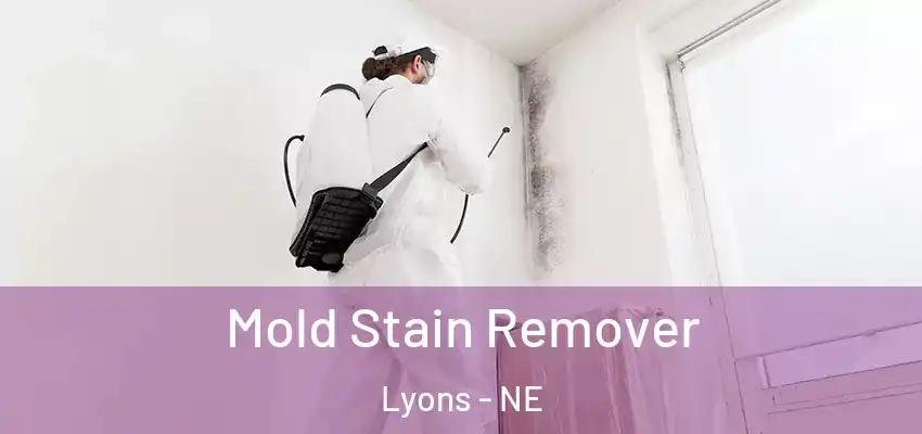 Mold Stain Remover Lyons - NE