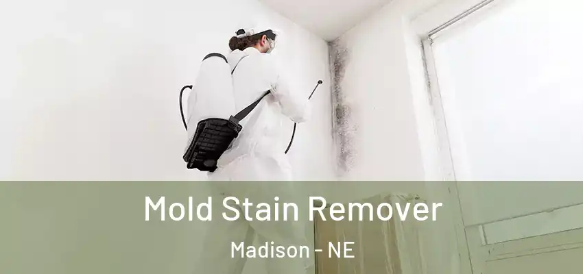 Mold Stain Remover Madison - NE