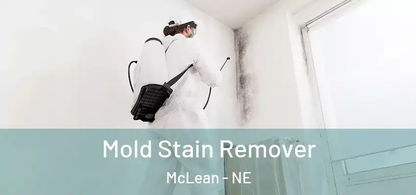 Mold Stain Remover McLean - NE