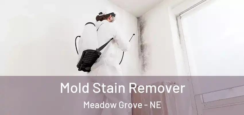 Mold Stain Remover Meadow Grove - NE