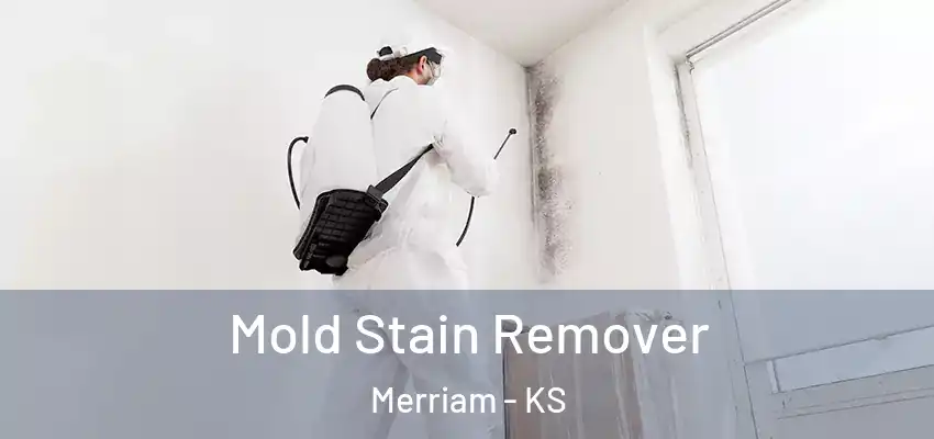  Mold Stain Remover Merriam - KS