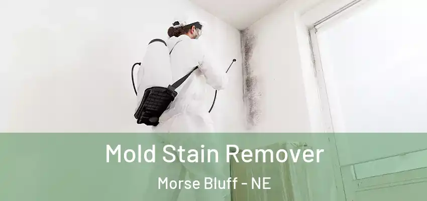  Mold Stain Remover Morse Bluff - NE