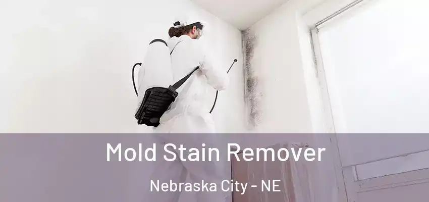 Mold Stain Remover Nebraska City - NE