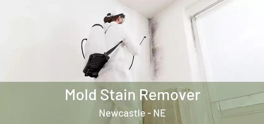  Mold Stain Remover Newcastle - NE