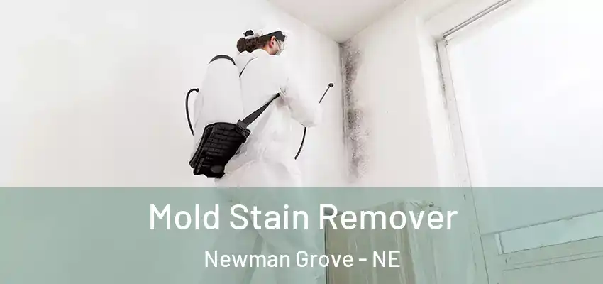  Mold Stain Remover Newman Grove - NE