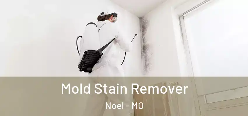 Mold Stain Remover Noel - MO