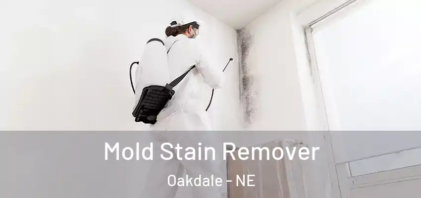  Mold Stain Remover Oakdale - NE