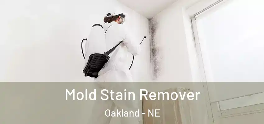  Mold Stain Remover Oakland - NE