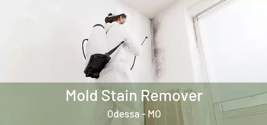  Mold Stain Remover Odessa - MO