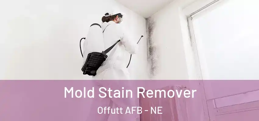  Mold Stain Remover Offutt AFB - NE