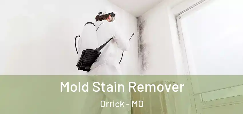  Mold Stain Remover Orrick - MO