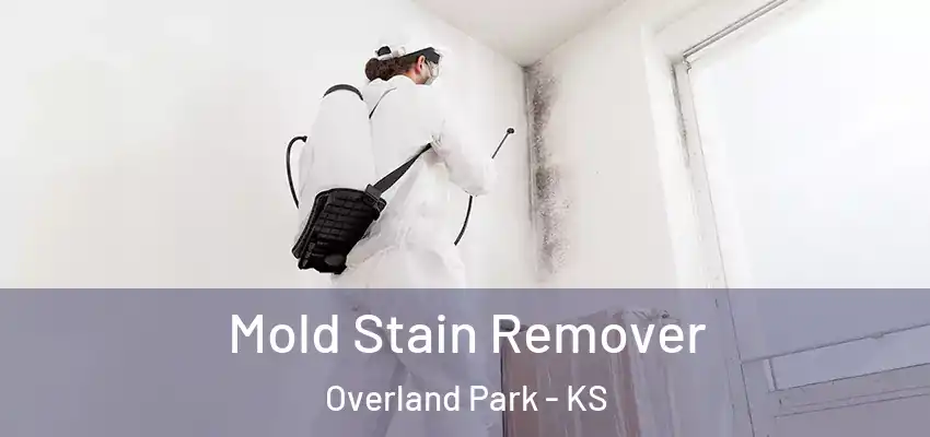  Mold Stain Remover Overland Park - KS
