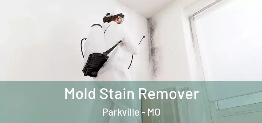  Mold Stain Remover Parkville - MO