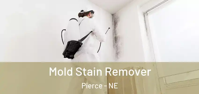  Mold Stain Remover Pierce - NE