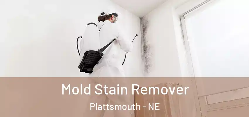  Mold Stain Remover Plattsmouth - NE