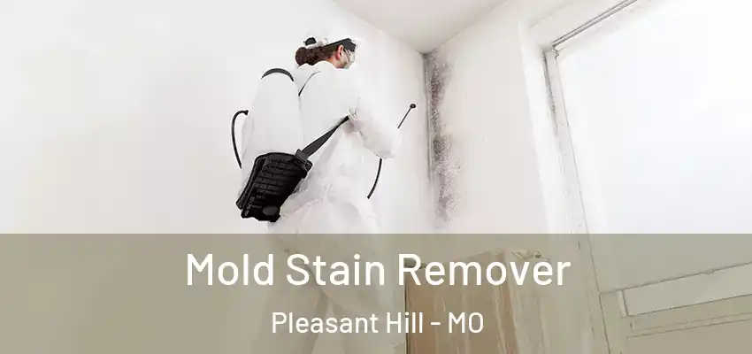  Mold Stain Remover Pleasant Hill - MO
