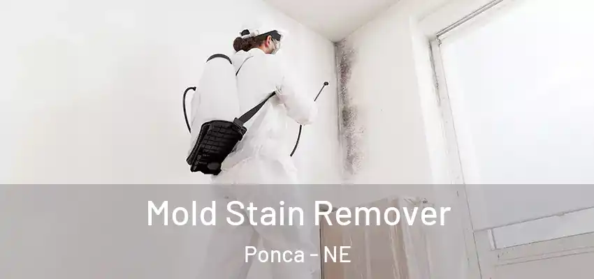  Mold Stain Remover Ponca - NE