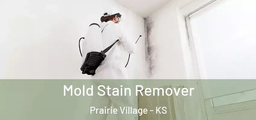  Mold Stain Remover Prairie Village - KS