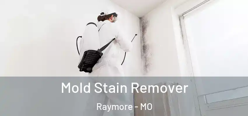 Mold Stain Remover Raymore - MO