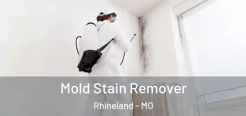  Mold Stain Remover Rhineland - MO