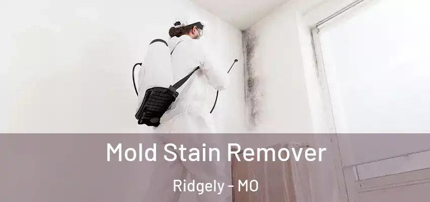  Mold Stain Remover Ridgely - MO