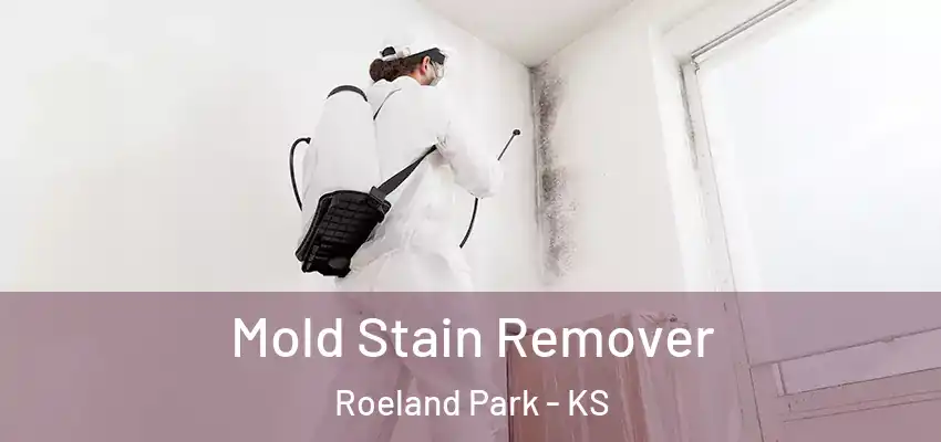 Mold Stain Remover Roeland Park - KS