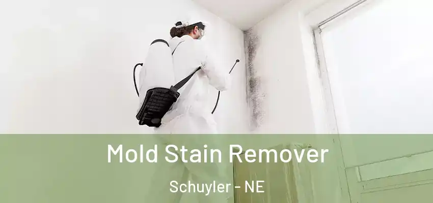  Mold Stain Remover Schuyler - NE