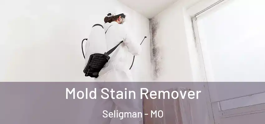  Mold Stain Remover Seligman - MO