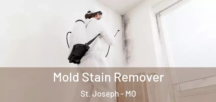  Mold Stain Remover St. Joseph - MO