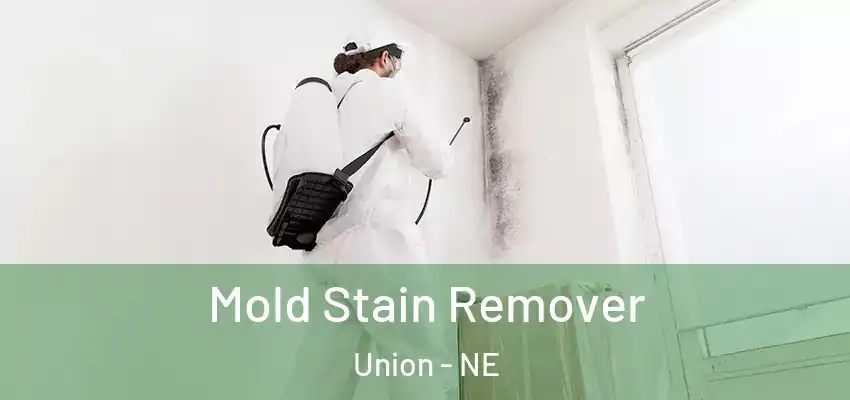  Mold Stain Remover Union - NE
