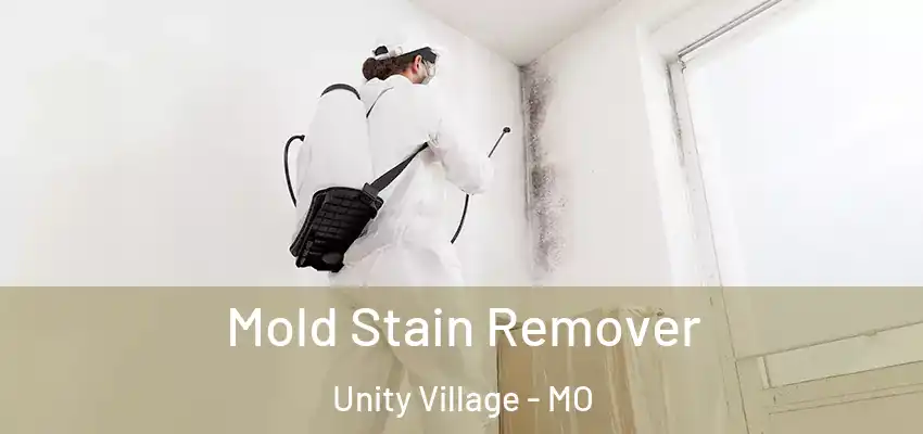  Mold Stain Remover Unity Village - MO