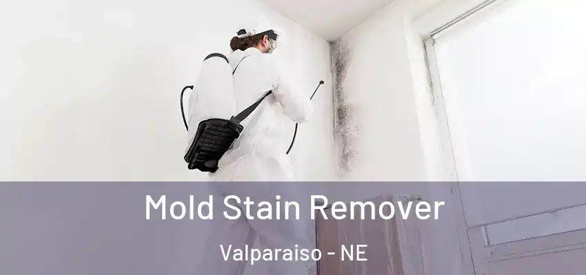  Mold Stain Remover Valparaiso - NE