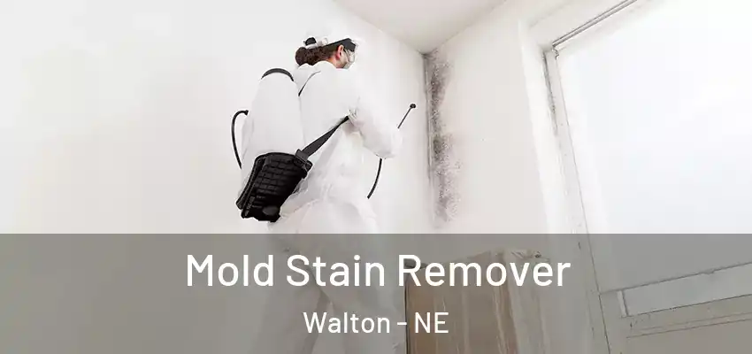  Mold Stain Remover Walton - NE